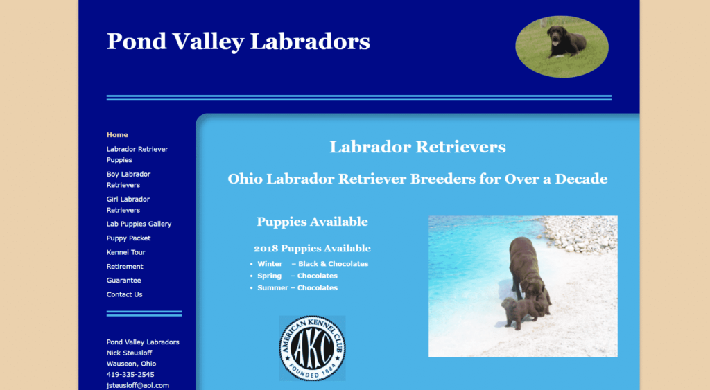 Pond Valley Labradors Ohio Labrador Retriever Breeders for Nearly 2 Decades website image